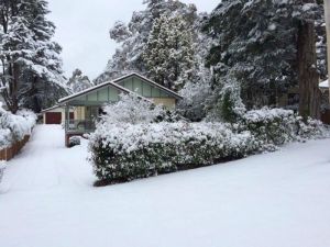 Brantwood Cottage - Events Australia 5