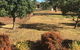Quirindi Sunflower Motor Inn - thumb 2