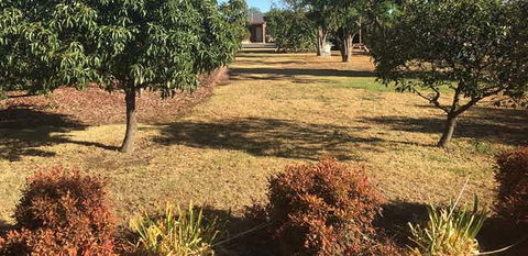 Quirindi Sunflower Motor Inn - Tourism Bookings 2