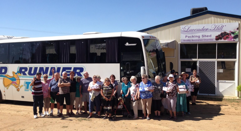 Palmers Leisure Tours - Events Australia 3
