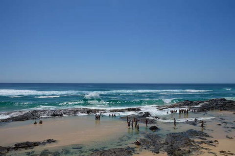 Pippies Fraser Island Tours - Tourism Bookings 1