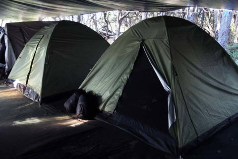 Pippies Fraser Island Tours - Tourism Bookings 7