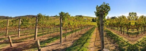 DeVine Escape - Events Australia 0