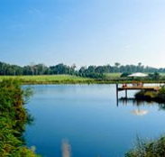 Forest Rise Eco Retreat - Events Australia