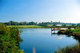 Forest Rise Eco Retreat - Events Australia 0