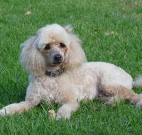 Garden City Motor Inn - Events Australia