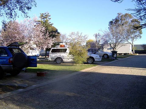 Horseshoe Motor Village Caravan Park - Tourism Bookings 1