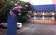 Huskisson Beach Motel - thumb 0