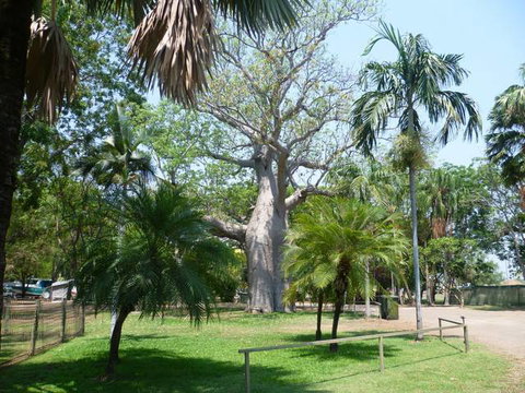 Kimberleyland Waterfront Holiday Park - Events Australia 3