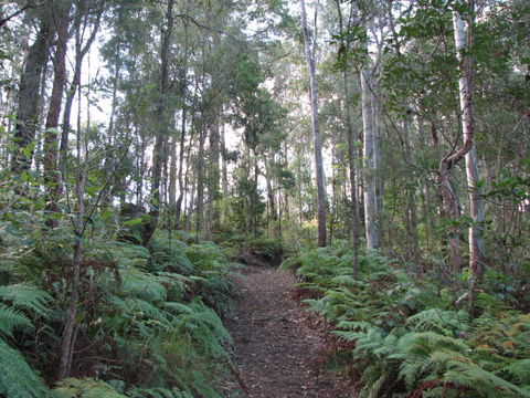 Maleny Country Cottages - Events Australia 1