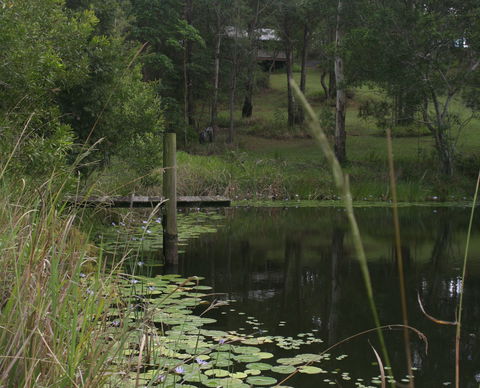 Maleny Country Cottages - Events Australia 4