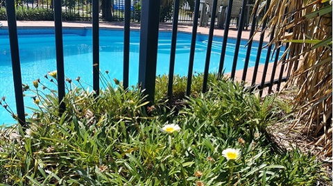Motel Carnarvon - Events Australia 6