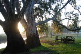 Mudgee's Getaway Cottages - Accommodation Europe 3