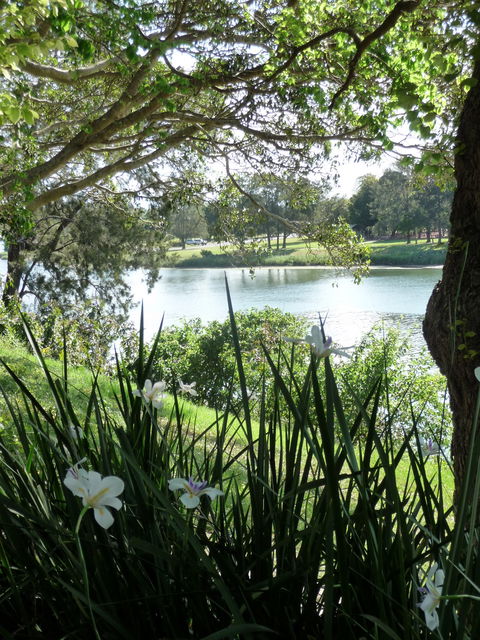 Netherby House - Tourism Bookings 6