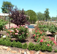 Newell Motor Inn - Accommodation Europe