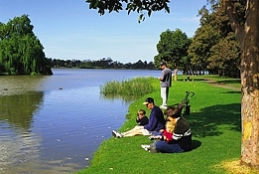 Sale Motor Village - Accommodation Europe 0