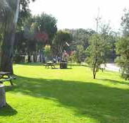 Sapphire Sun Eco Holiday Village - Events Australia