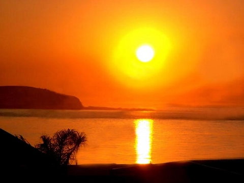 The Black Dolphin - Events Australia 2