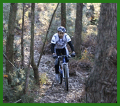 Twin Falls Bush Cottages - Events Australia 1