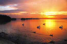 Two Shores Holiday Village - Events Australia 4