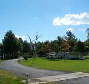 Wairo Beach Holiday Park - Events Australia