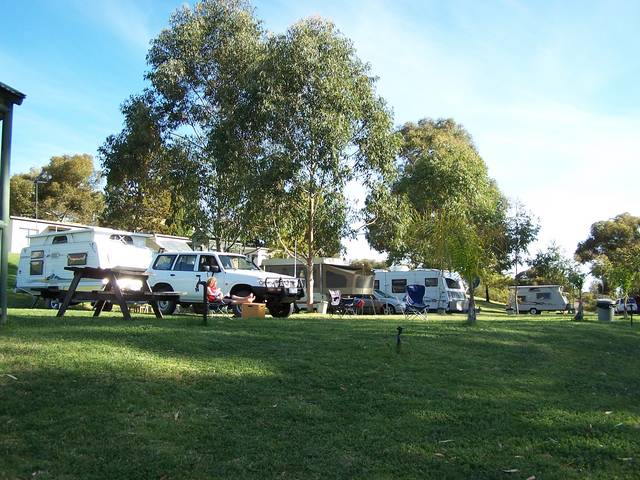 Robinvale VIC Events Australia