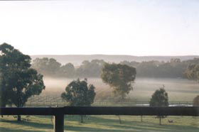 Settlers Rest Farmstay Swan Valley - Events Australia 3