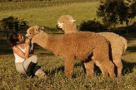 Settlers Rest Farmstay Swan Valley - Events Australia 2