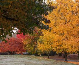 Laurel Hill Forest Lodge - Events Australia 3