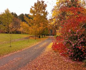 Laurel Hill Forest Lodge - Events Australia 4
