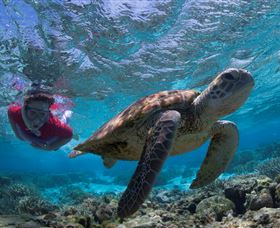 Lady Elliot Island Eco Resort - Events Australia 1