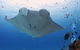 Lady Elliot Island Eco Resort - thumb 3