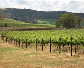Acacia Park Farm House - Tourism Bookings 7