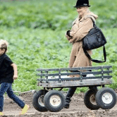Perth City Farm Organic Markets - Events Australia
