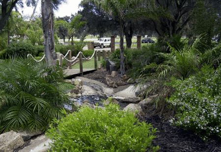 King Carnival - Tourism Bookings 1