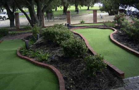 King Carnival - Tourism Bookings 2