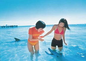 Accommodation Europe