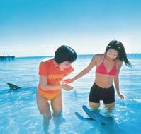 Kookaburra Air - Accommodation Europe