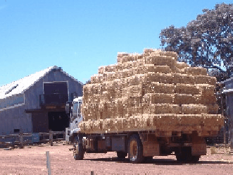 Avondale Discovery Farm - Accommodation Europe 1