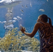 The Aquarium of Western Australia - Events Australia
