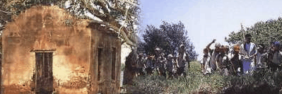 St Helena Island - Events Australia 1