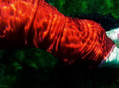 Dark Horse Experiment - Tourism Bookings 0