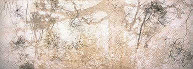 Dianne Tanzer Gallery & Projects - Events Australia 3