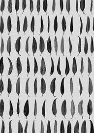 Carbon Black Gallery - Events Australia 1