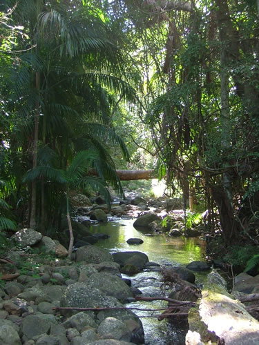 Thunderbird Park - Events Australia 2