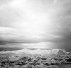 Lowrise Projects - Events Australia