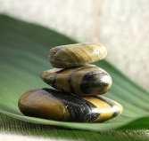 The Nature of Balance - Tourism Bookings