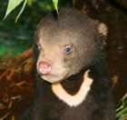 Perth Zoo - Events Australia 0