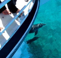 Pelican Charters - Events Australia