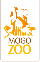 Mogo Zoo - Events Australia 0